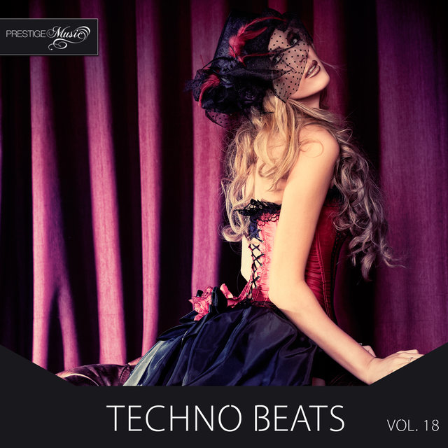 Techno Beats, Vol.18
