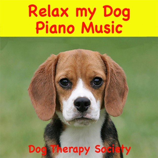 Relax My Dog Piano Music