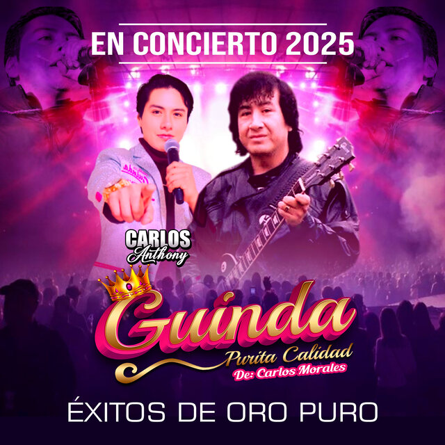 Éxitos de Oro Puro (En Concierto 2025) (Mix)
