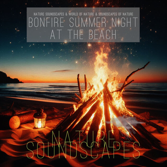 Bonfire Summer Night at the Beach