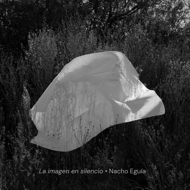 La Imagen en Silencio