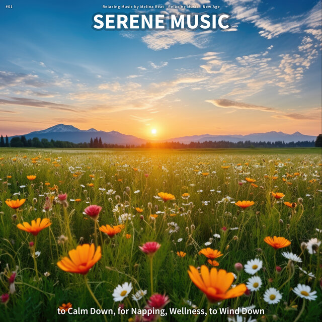 #01 Serene Music to Calm Down, for Napping, Wellness, to Wind Down