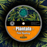 Plántala Dub