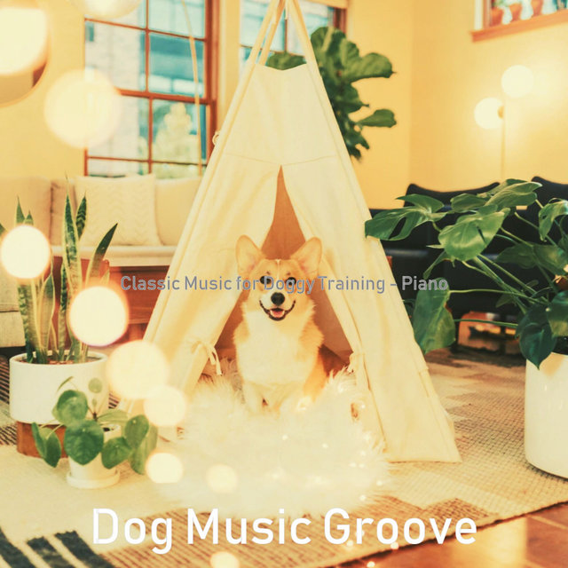 Classic Music for Doggy Training - Piano