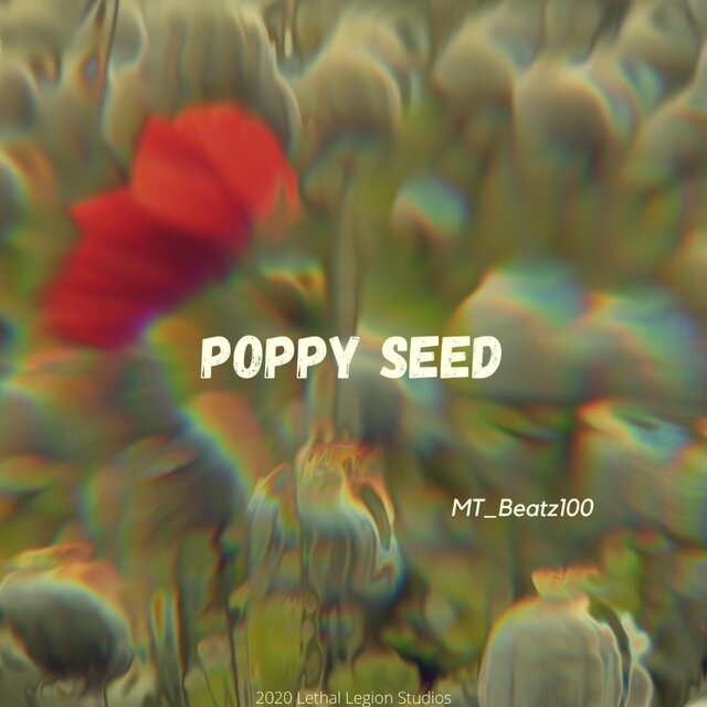 Poppy Seed