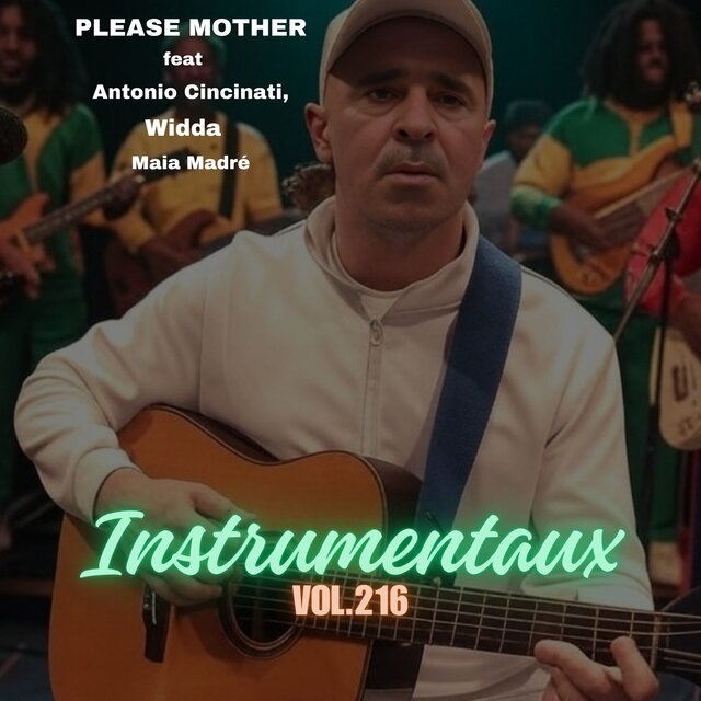 instrumentaux vol.216