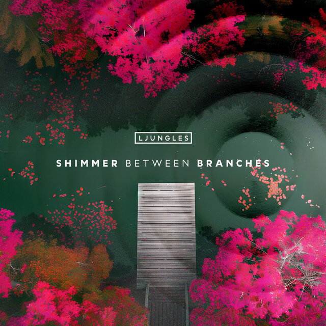 Shimmer Between Branches