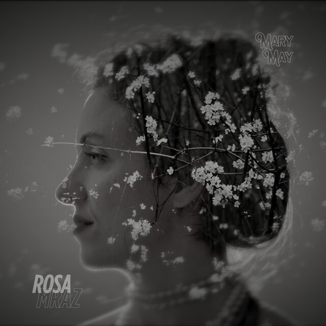 Rosa, mraz
