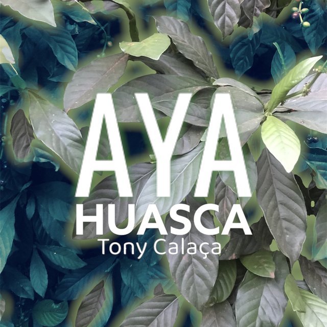 Ayahuasca