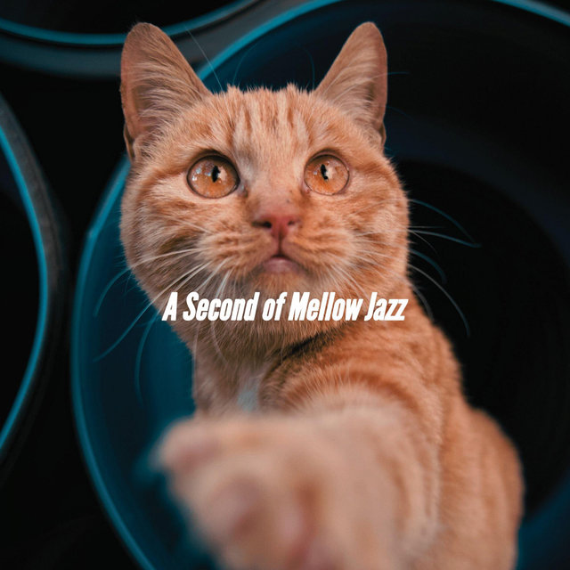A Second of Mellow Jazz
