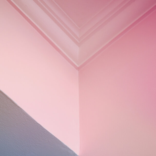Cornered