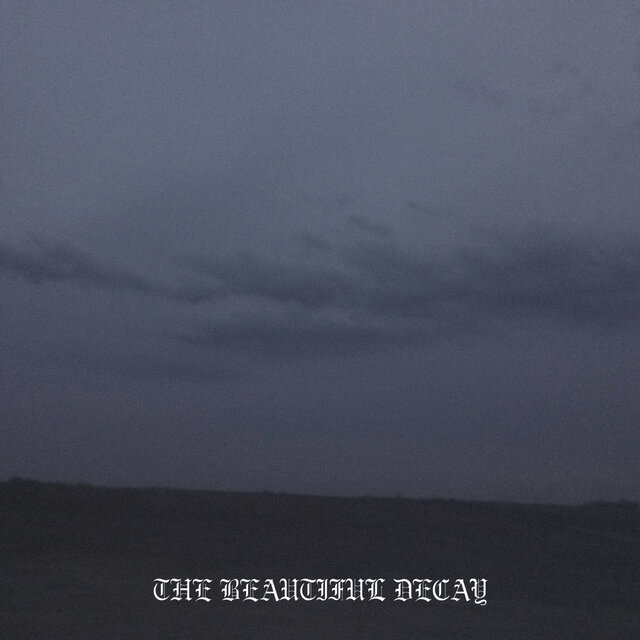 THE BEAUTIFUL DECAY: FUCK THE GAME