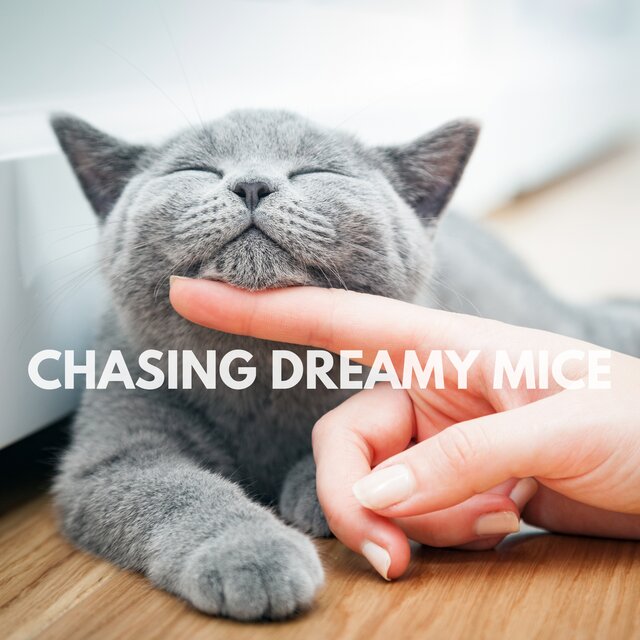 Chasing Dreamy Mice