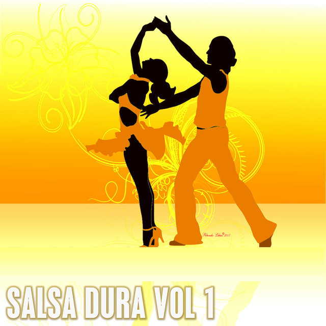 Salsa Dura, Vol. 1