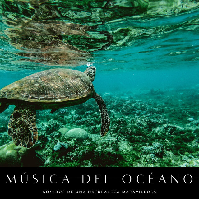 Música Del Océano: Sonidos De Una Naturaleza Maravillosa