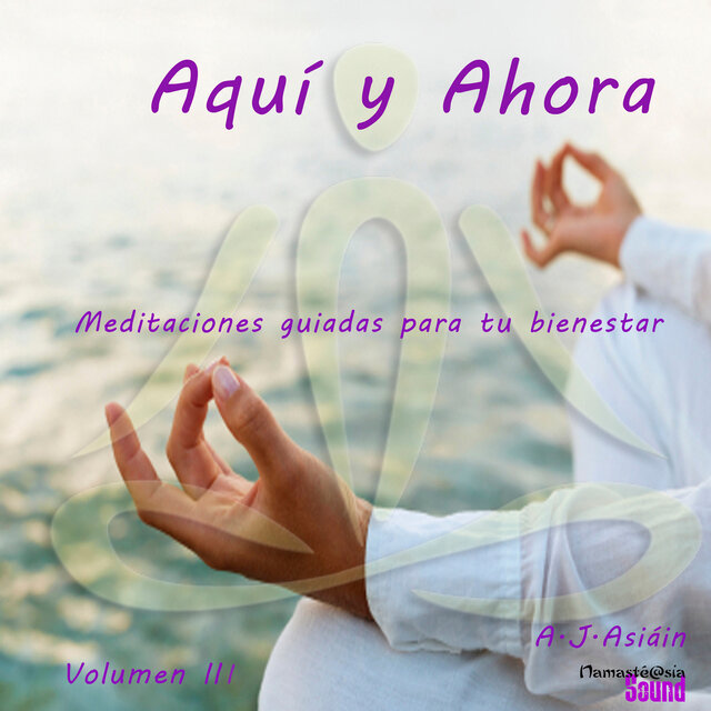 Aqui y Ahora   Meditaciones Guiadas para Tu Bienestar (Volumen III)