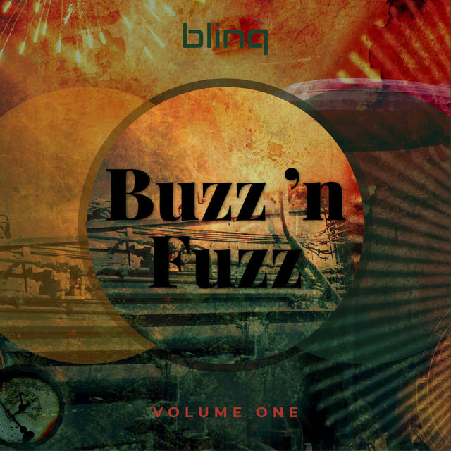 Buzz 'n Fuzz