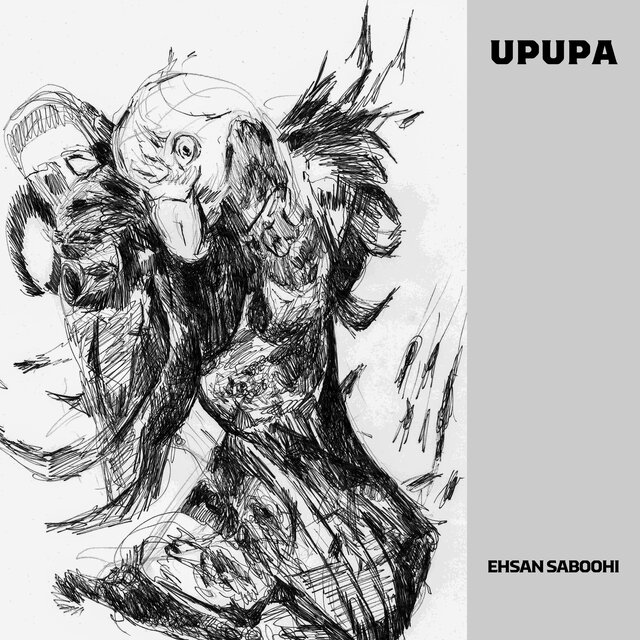 Upupa