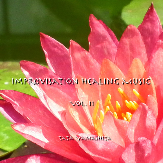 Improvisation Healing Music Vol.11