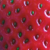 Strawberry Visions (feat. NO1-NOAH)