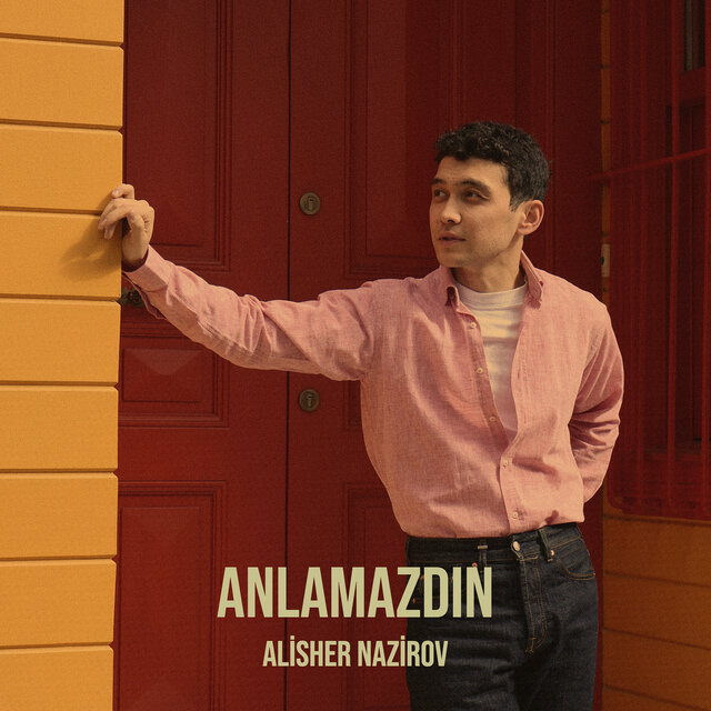 Anlamazdın