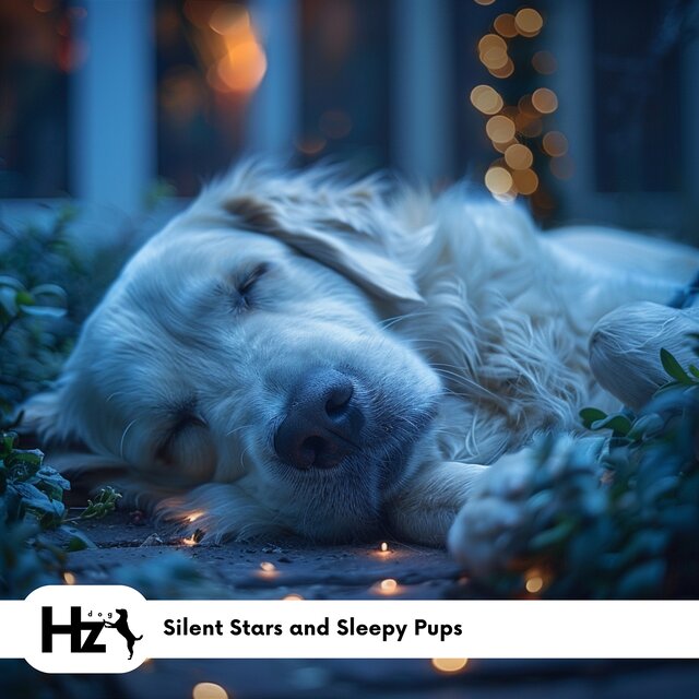 Silent Stars and Sleepy Pups