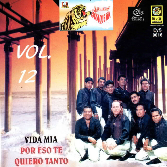 Vida Mia por Eso Te Quiero Tanto, Vol. 12