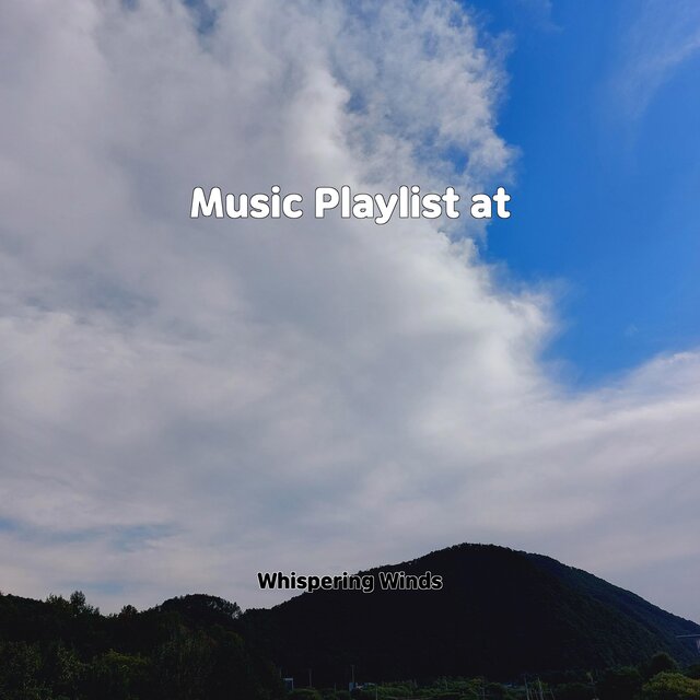 Music Playlist at