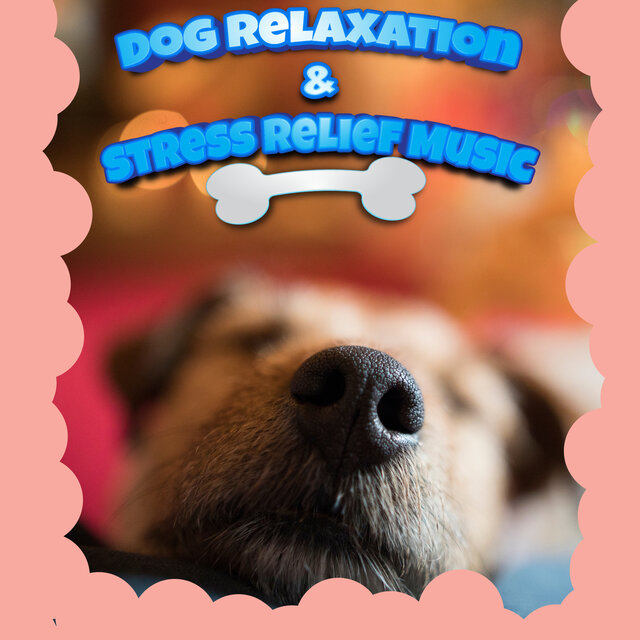 Dog Puppy Sleep Music For Relaxation & Anxiety Relief