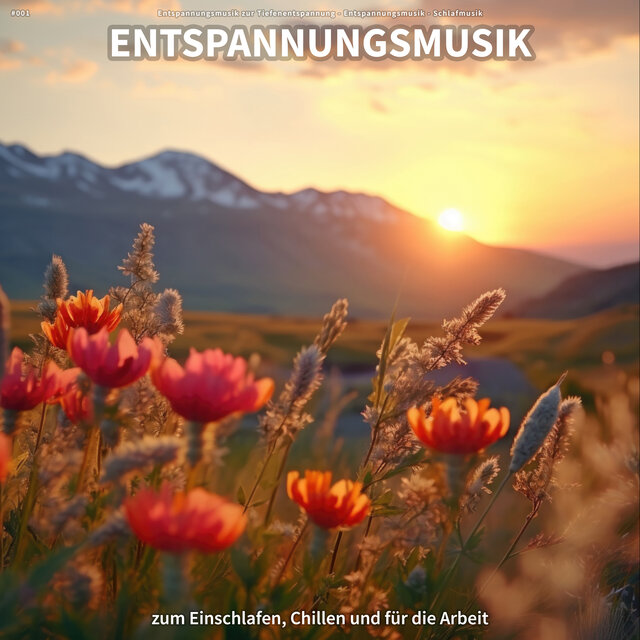#001 Entspannungsmusik zum Einschlafen, Chillen und für die Arbeit
