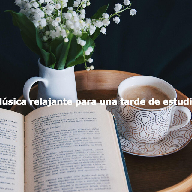 Música relajante para una tarde de estudio