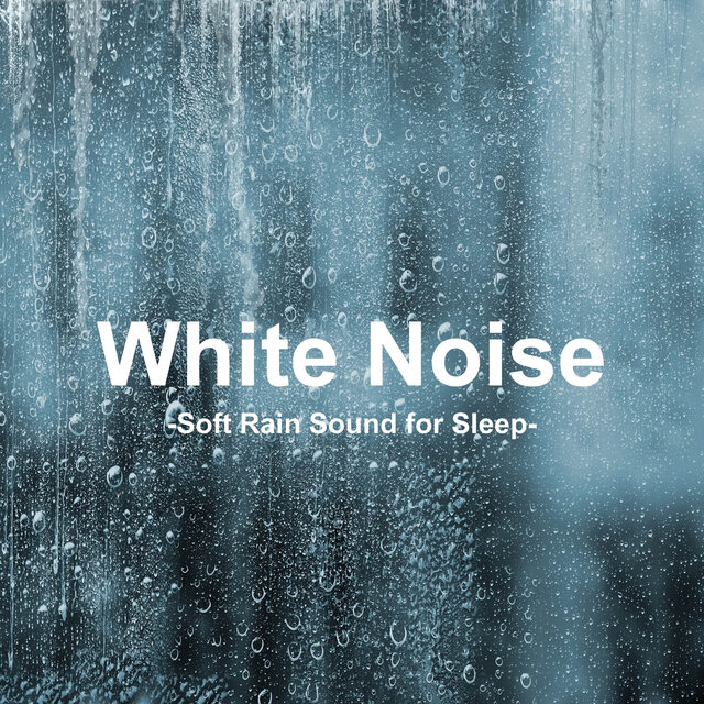 Soft Rain Sound for Sleep 1 Hour (Mental and Physical Stability, Sleep, Deep Sleep, Relieve Insomnia, Rain, Rain, White Noise, ASMR)