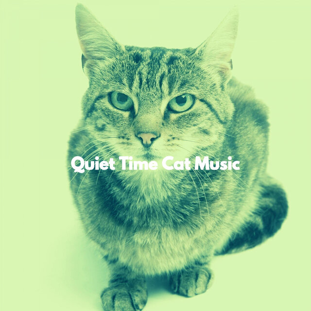 Quiet Time Cat Music
