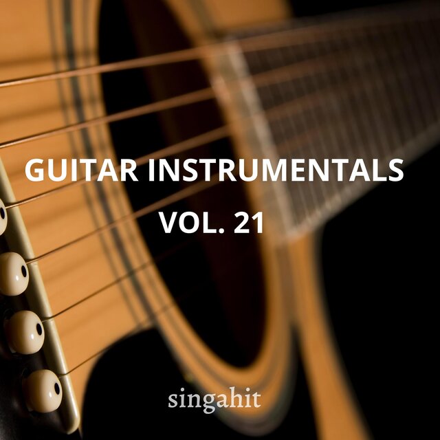Guitar Acoustic Instrumental, Vol. 21