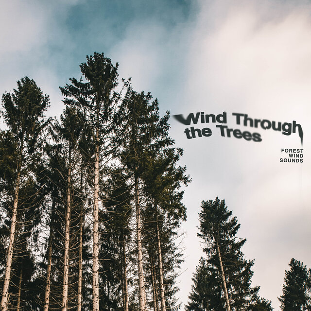 Wind Through the Trees