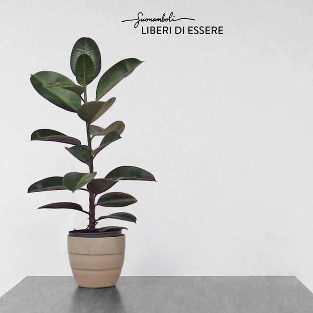Liberi di essere