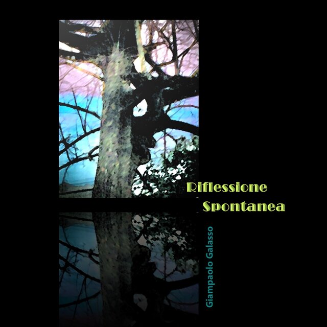 Riflessione Spontanea