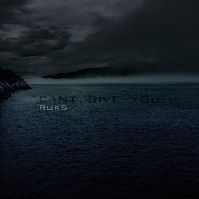 Can't Give You