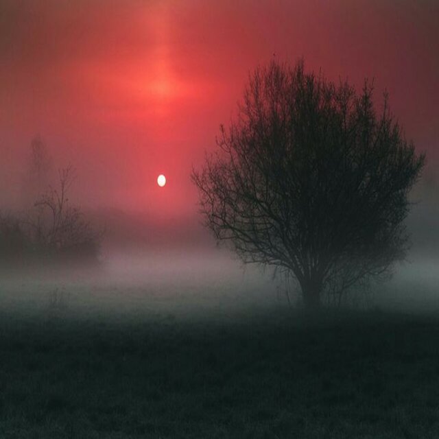 Calm & Chill Ambient Vibes