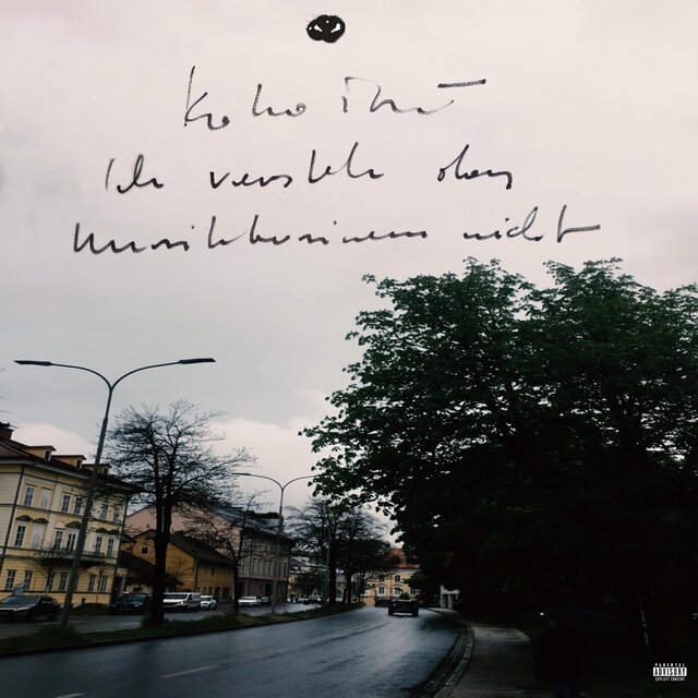 Ich versteh das Musikbusiness nicht