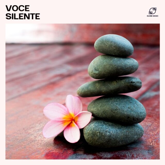 Voce Silente
