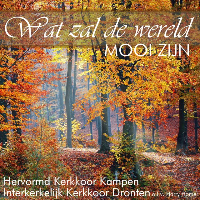 Wat zal de wereld mooi zijn