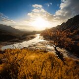 Restful Motion for Focus