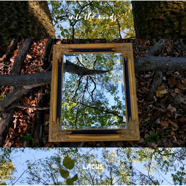 Into the Woods