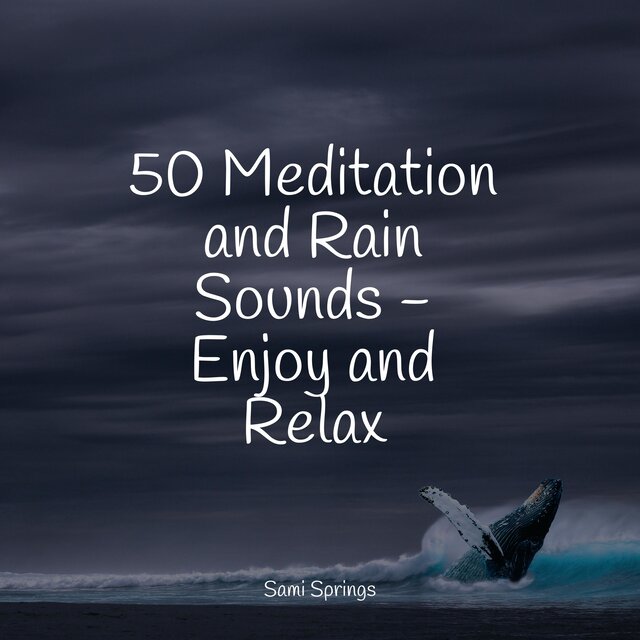 50 Meditation and Rain Sounds - Enjoy and Relax
