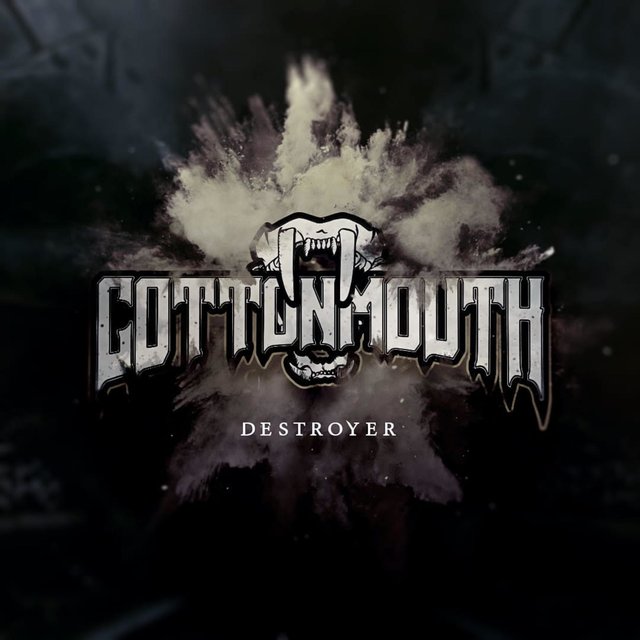 Destroyer
