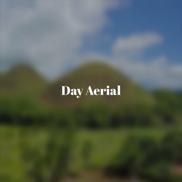 Day Aerial