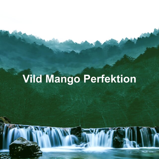 Vild Mango Perfektion