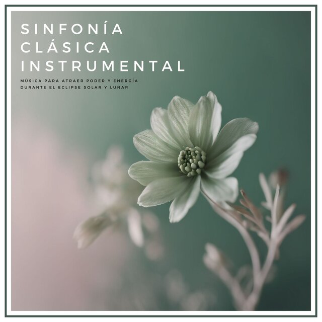 Sinfonía Clásica Instrumental - Música Clásica Moderna para Relax, Estudio y Meditación