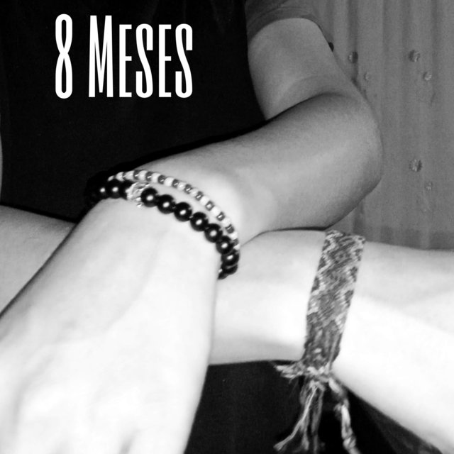 8 Meses